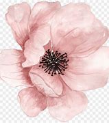 Image result for Pastel Pink Flowers Watercolor