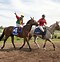 Image result for Melbourne Horse Racing