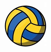Image result for Volleyball Material