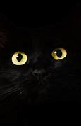 Image result for Cat Lock Screen Wallpaper for PC
