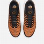 Image result for Nike Air Max Plus 4