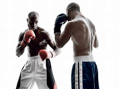 Image result for Boxing Fighting Stance