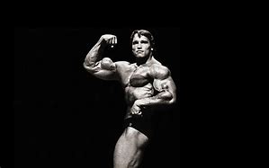 Image result for Arnold Schwarzenegger Bodybuilding Wallpaper