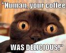 Image result for More Coffee Memes Funny