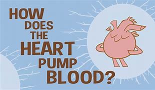 Image result for The Heart Is Not a Pump