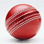 Image result for Cricket Images. Free