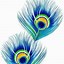 Image result for Krishna Peacock Feather Wallpaper