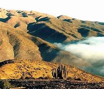 Image result for camanchaca