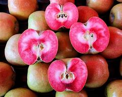 Image result for Cool Apple in Stock Market Pics