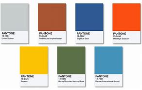 Image result for Champagne Color Swatch Pantone