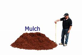 Image result for 1 Yard Mulch