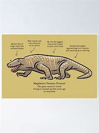 Image result for Giant Prehistoric Lizard