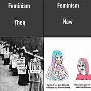Image result for Feminist Recording Meme