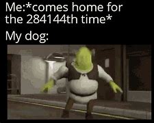 Image result for Shrek Dog Memes