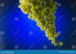 Image result for Sun Burn Green Grapes