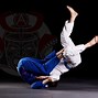 Image result for Japan Jiu Jitsu