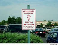 Image result for No Parking Sign City Funny