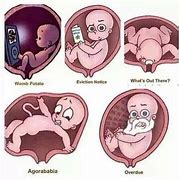 Image result for Childbirth Humor
