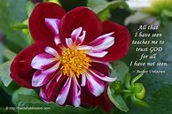 Image result for Spring Flowers Quotes