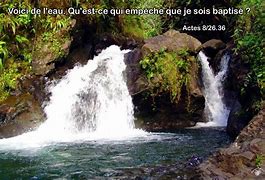 Image result for actes