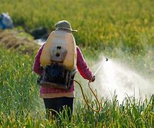 Image result for Green Revolution Pesticides