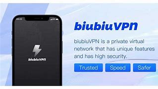 Image result for Biubiu VPN Mac
