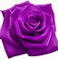 Image result for Purple Flower Graphics