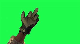 Image result for Middle Finger Green screen