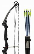 Image result for Bow and Arrow for Adults