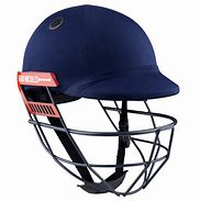 Image result for Mini Cricket Helmets