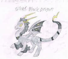Image result for Silver Black Dragon