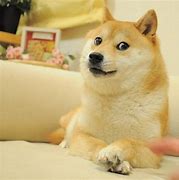 Image result for Dog Pointing and Laughing Meme