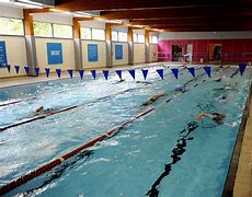 Image result for Swimming Club
