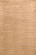 Image result for Curly Soft Maple Wood