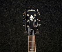 Image result for Washburn Idol Guitar Win Pro