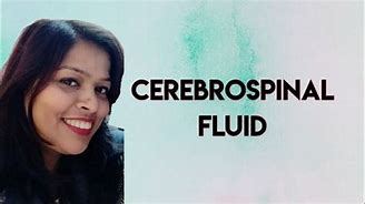 Image result for Normal Morphology of CSF
