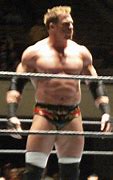 Image result for WWE Wrestling Matches