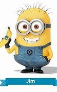Image result for Minion Jim