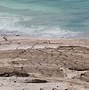 Image result for Dead Sea Dying