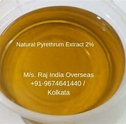 Image result for Pyrethrum Extract