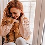 Image result for Classic Orange Tabby Cat