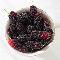 mulberries 的图像结果