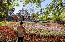Image result for floriade canberra