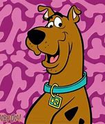 Image result for Shaggy Scooby-Doo Logo