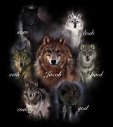 Image result for What Werewolf Paul Is Breaking Dawn Part 1 Twilight