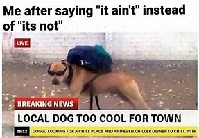 Image result for Too Cool for School Meme