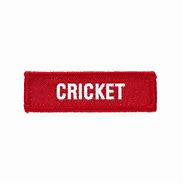 Image result for Mini Cricket Badge