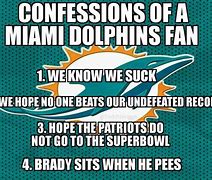 Image result for Miami Dolphins Memes Funny