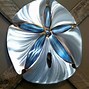 Image result for Sand Dollar Wall Decor