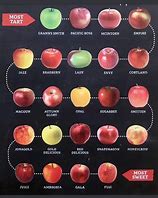 Image result for Tart Apples Varieties